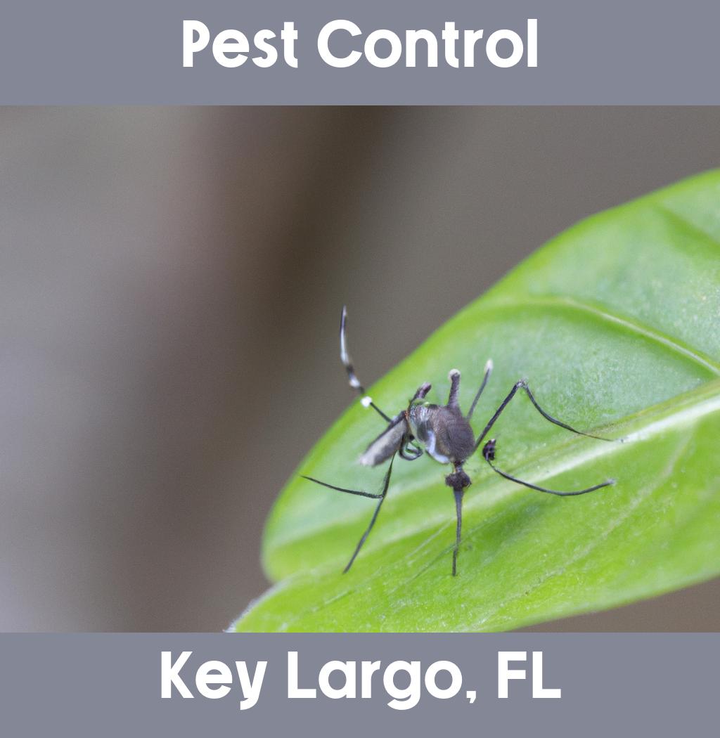 pest control in Key Largo Florida