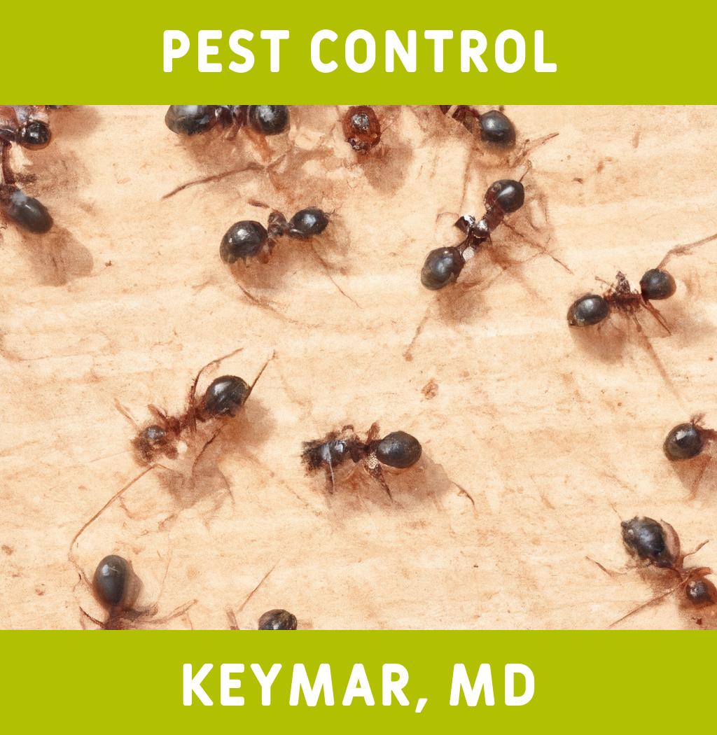 pest control in Keymar Maryland