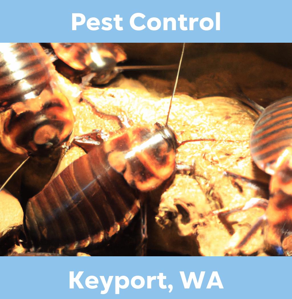 pest control in Keyport Washington