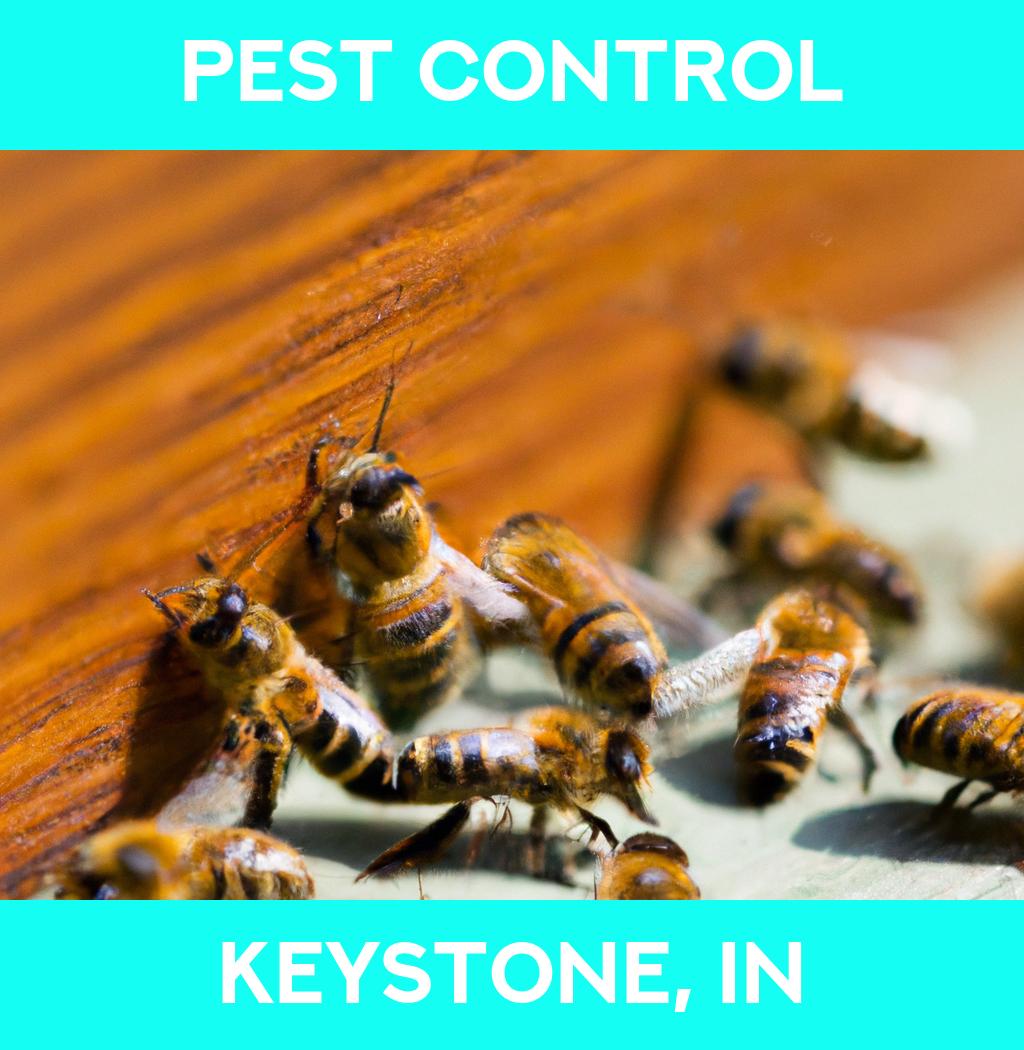 pest control in Keystone Indiana