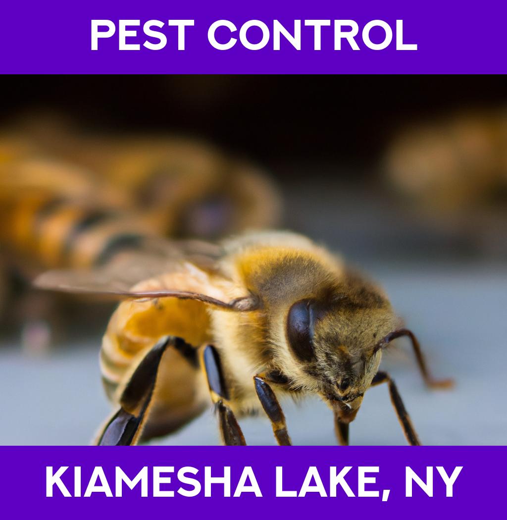 pest control in Kiamesha Lake New York