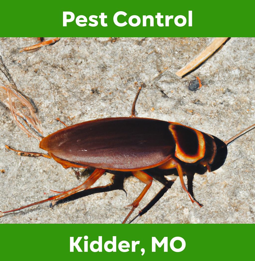 pest control in Kidder Missouri
