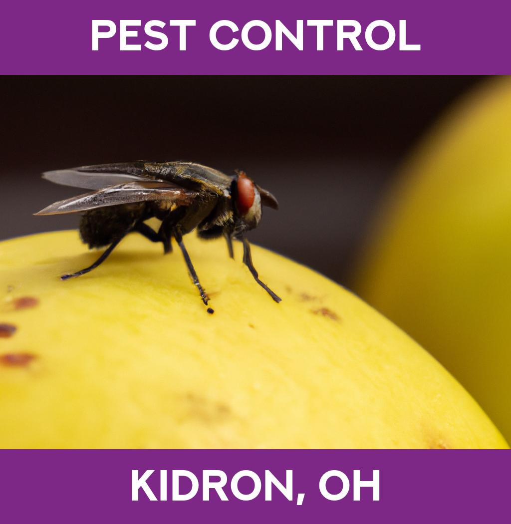pest control in Kidron Ohio