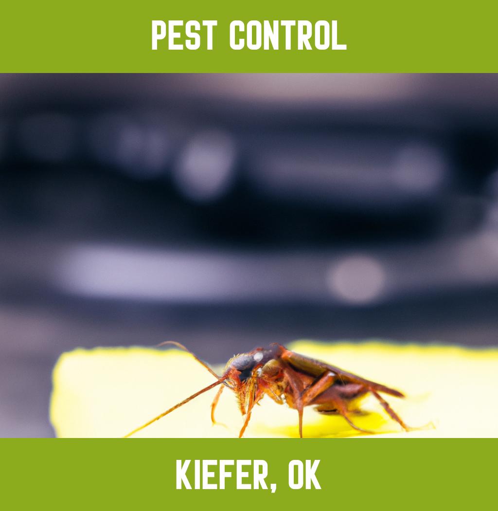 pest control in Kiefer Oklahoma