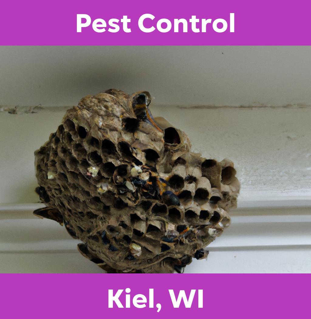 pest control in Kiel Wisconsin