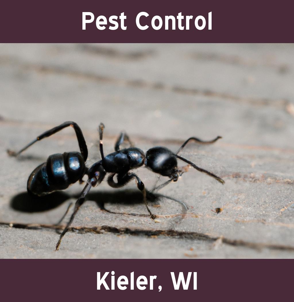 pest control in Kieler Wisconsin