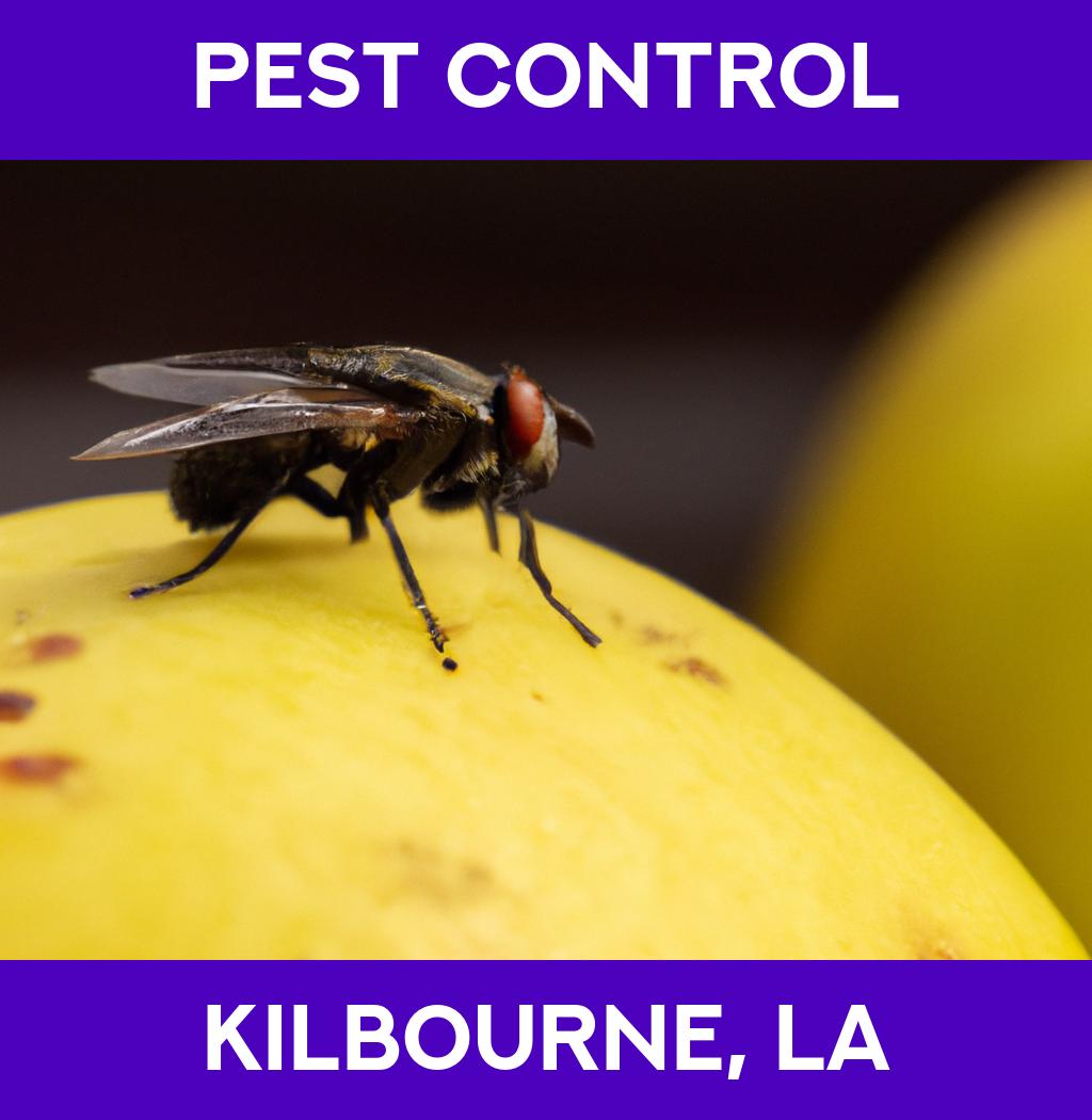 pest control in Kilbourne Louisiana