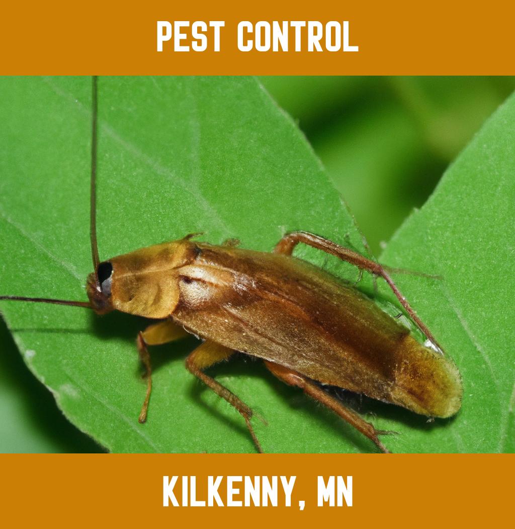 pest control in Kilkenny Minnesota