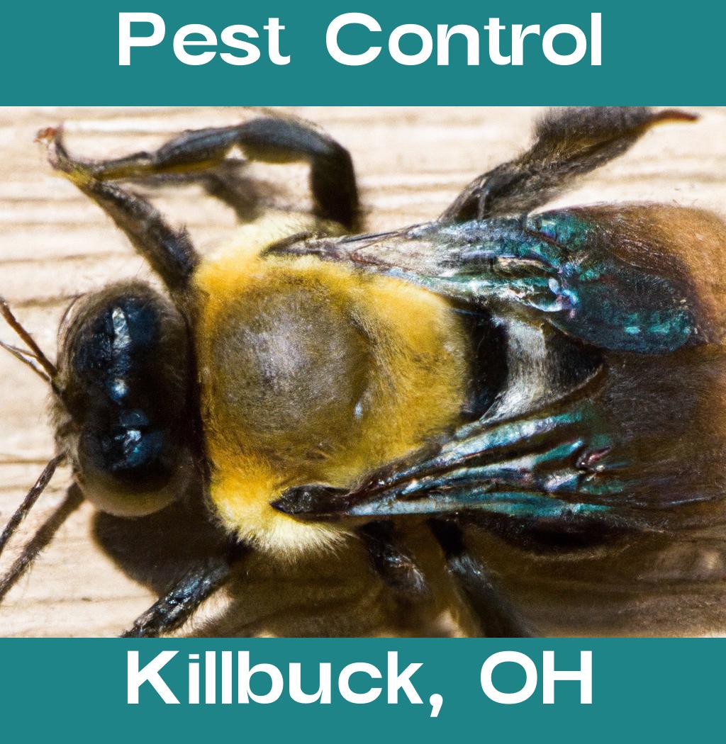 pest control in Killbuck Ohio