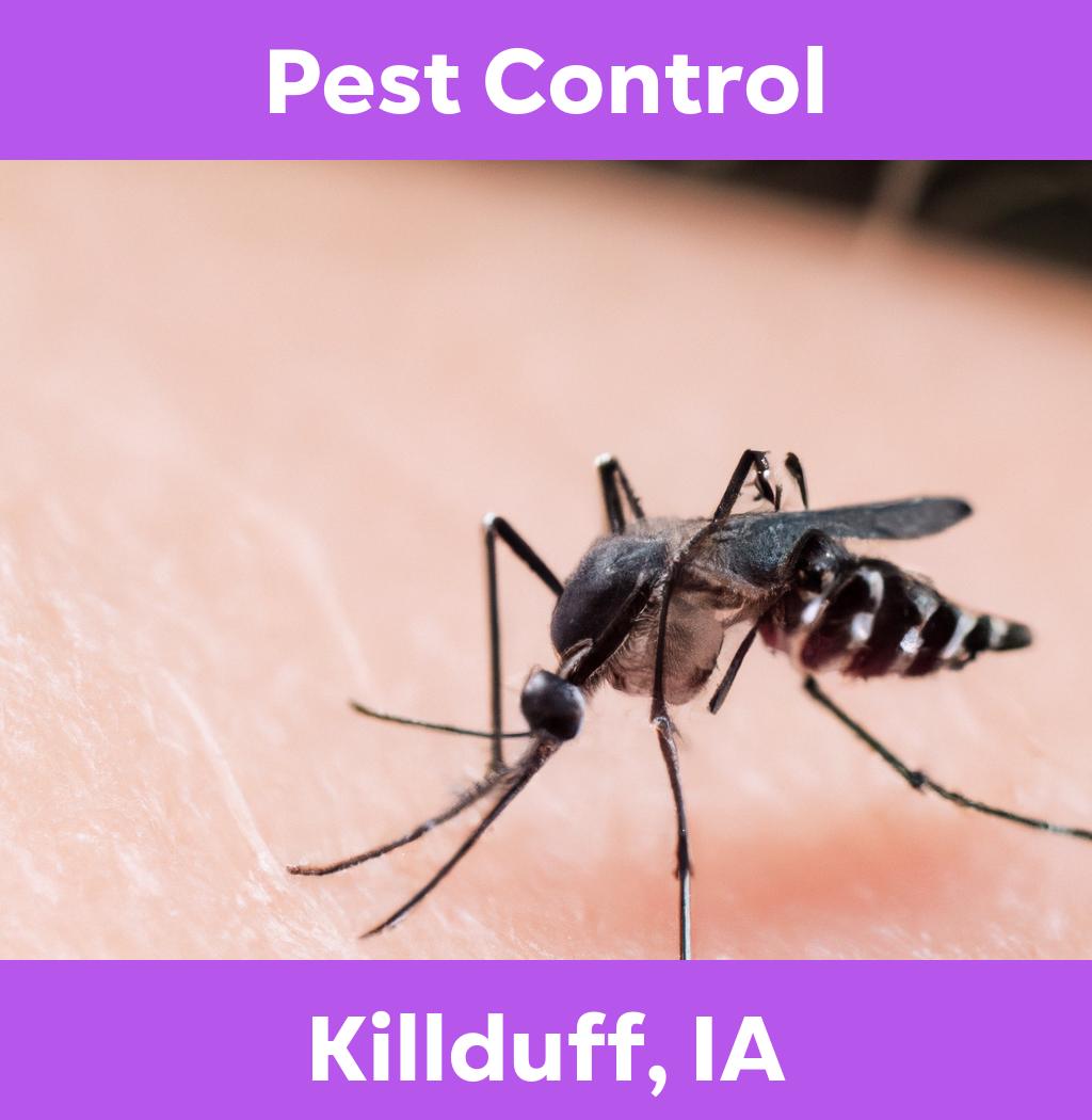 pest control in Killduff Iowa