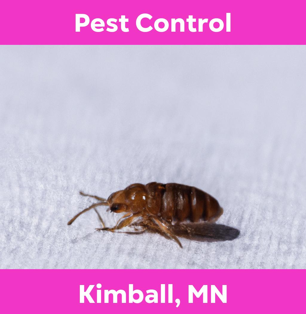 pest control in Kimball Minnesota