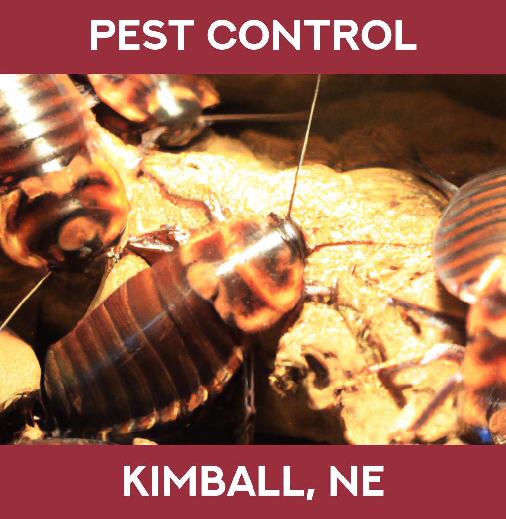 pest control in Kimball Nebraska