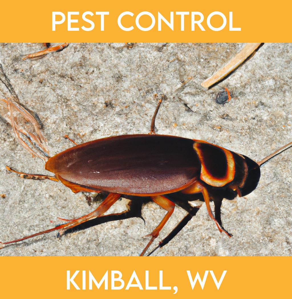 pest control in Kimball West Virginia