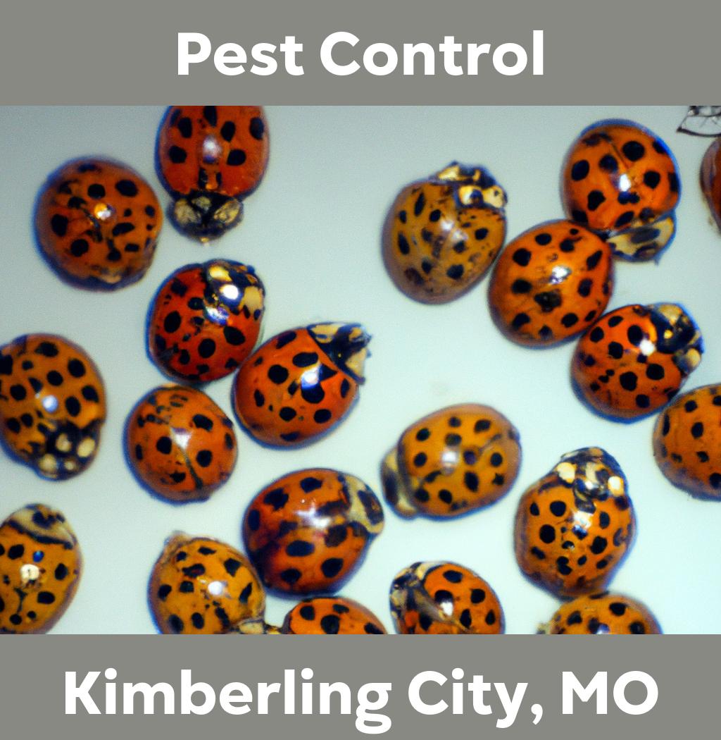 pest control in Kimberling City Missouri