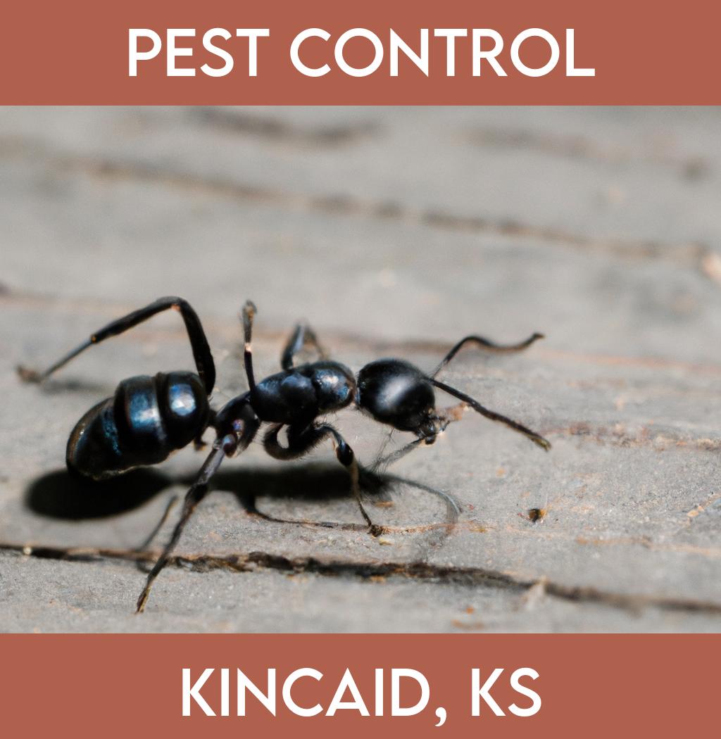 pest control in Kincaid Kansas