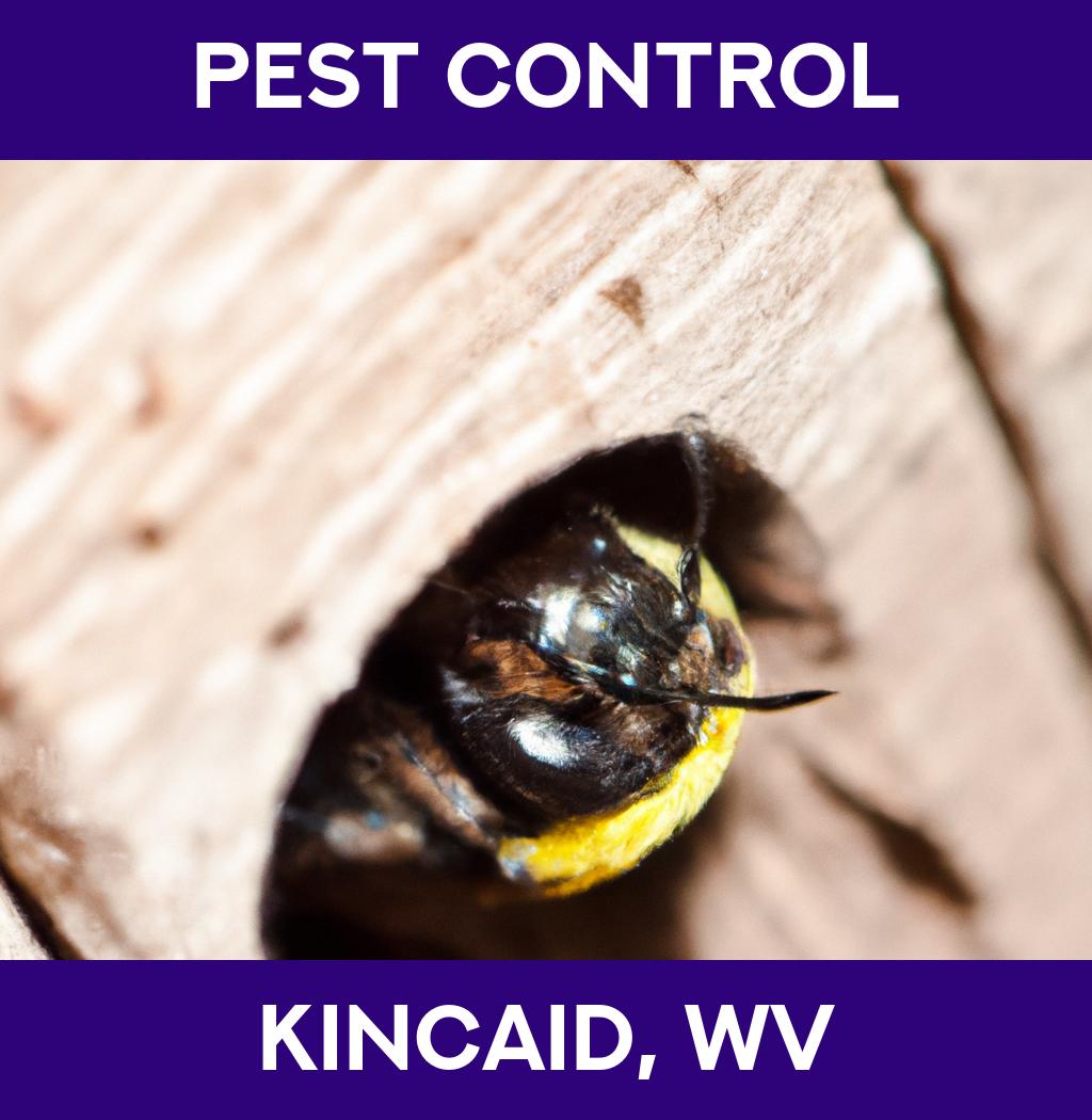 pest control in Kincaid West Virginia