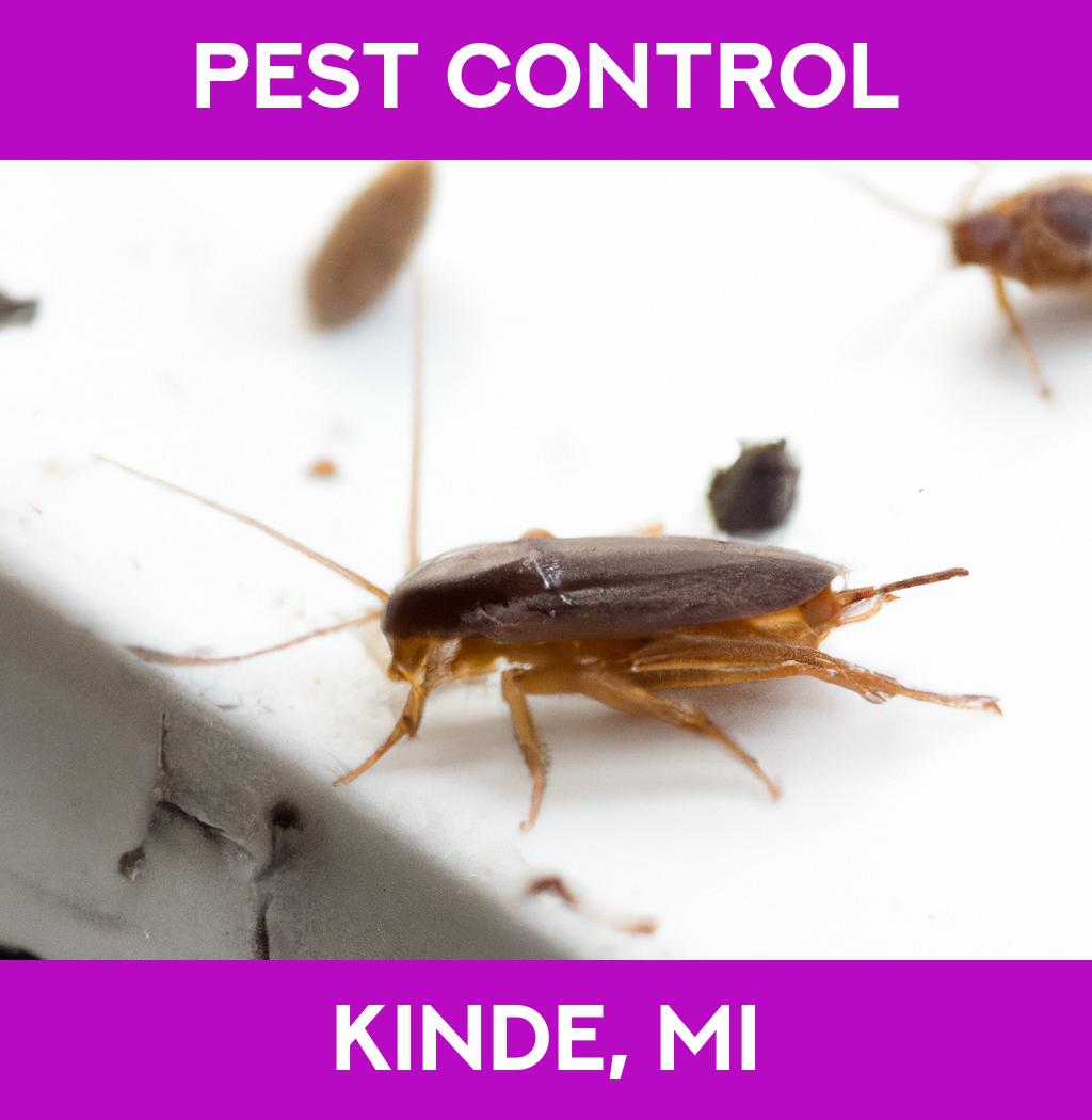 pest control in Kinde Michigan