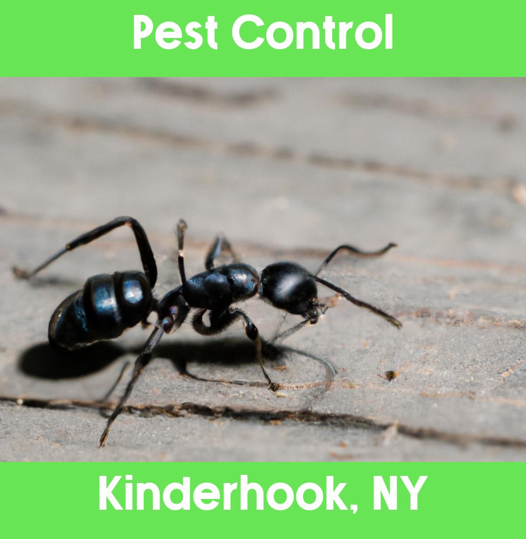 pest control in Kinderhook New York