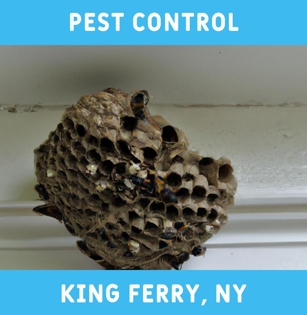pest control in King Ferry New York