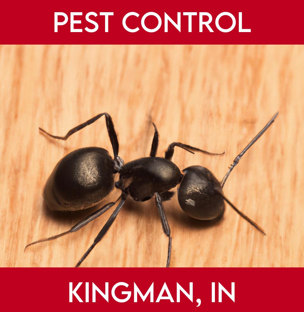 pest control in Kingman Indiana