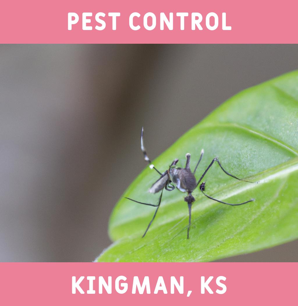 pest control in Kingman Kansas