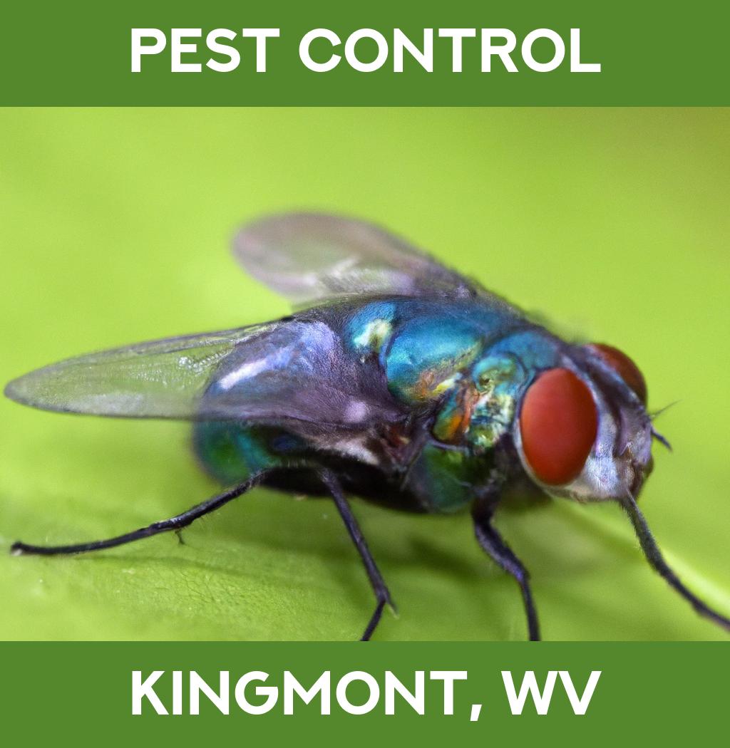 pest control in Kingmont West Virginia