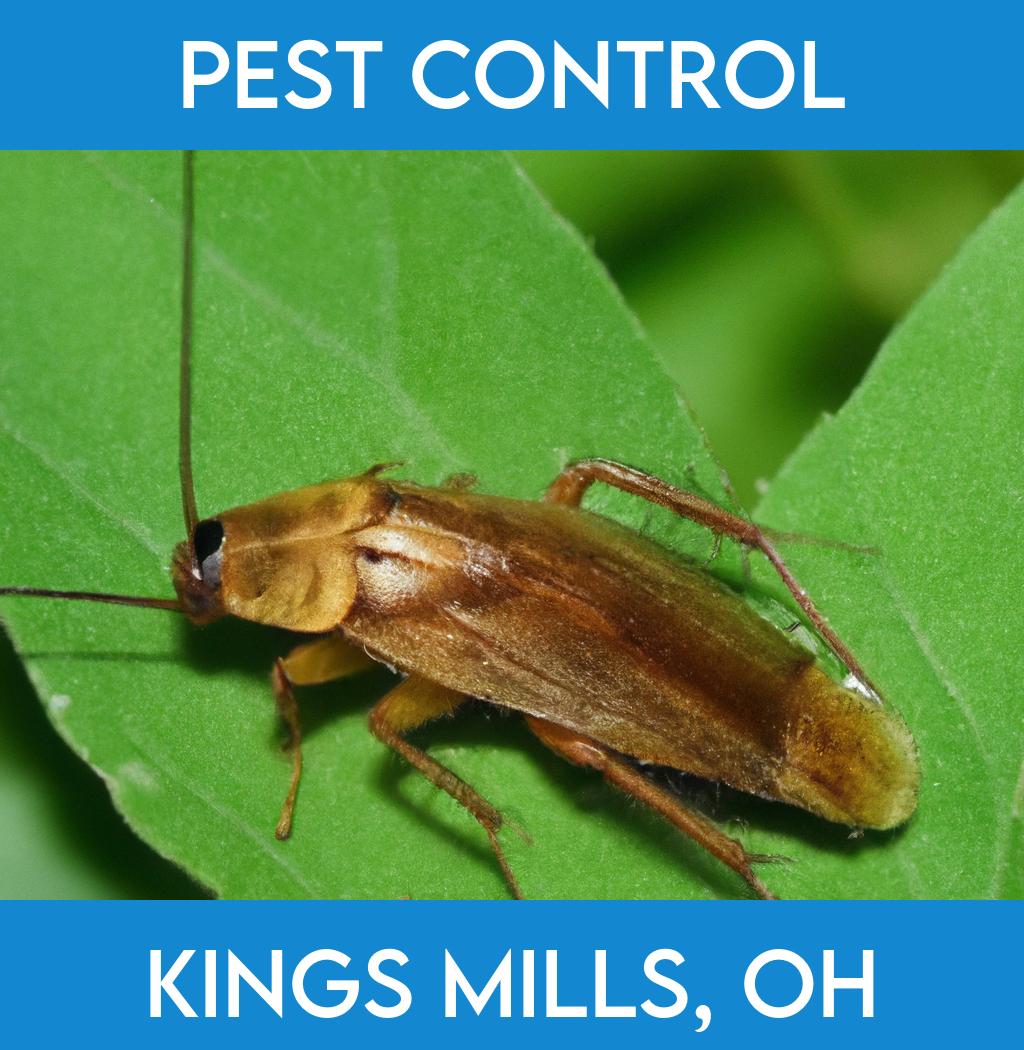 pest control in Kings Mills Ohio