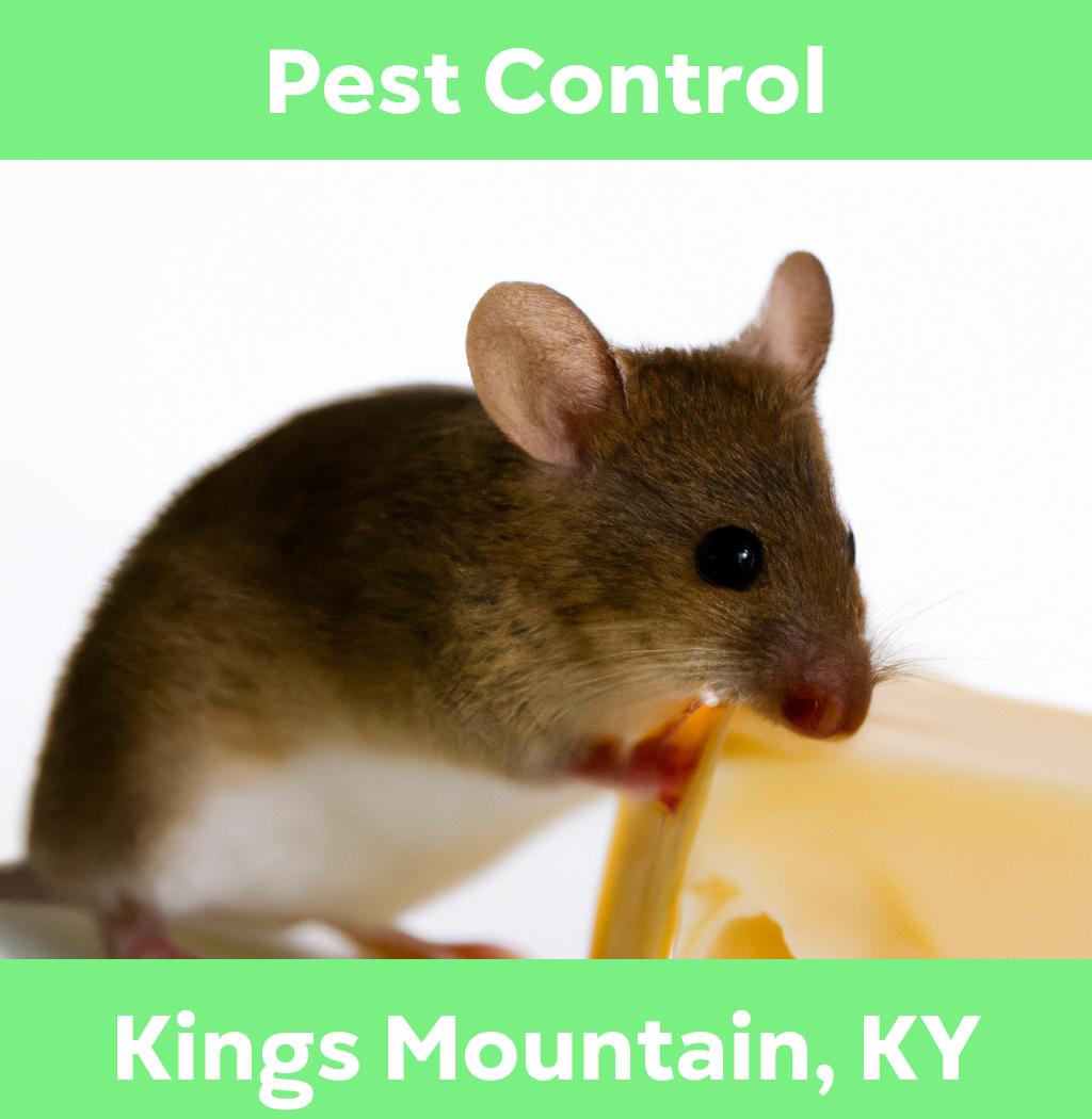 pest control in Kings Mountain Kentucky