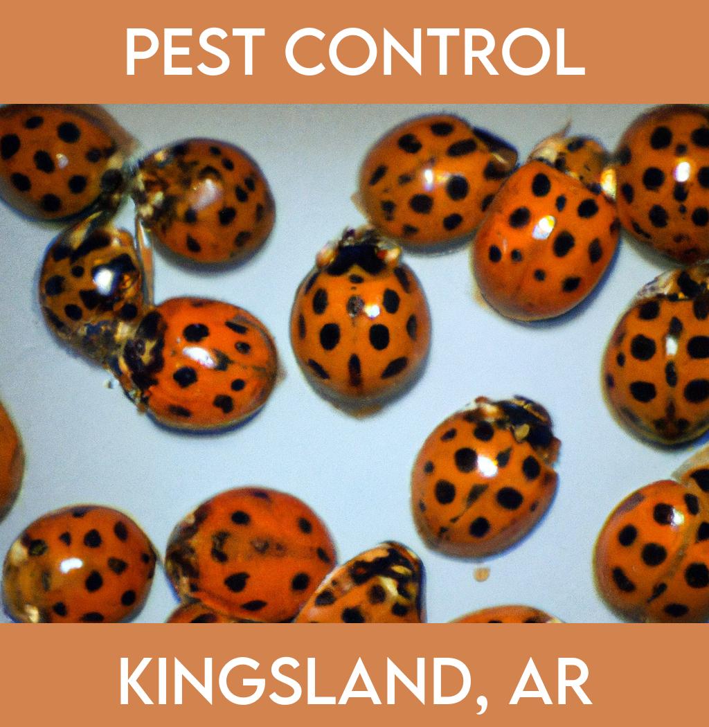 pest control in Kingsland Arkansas