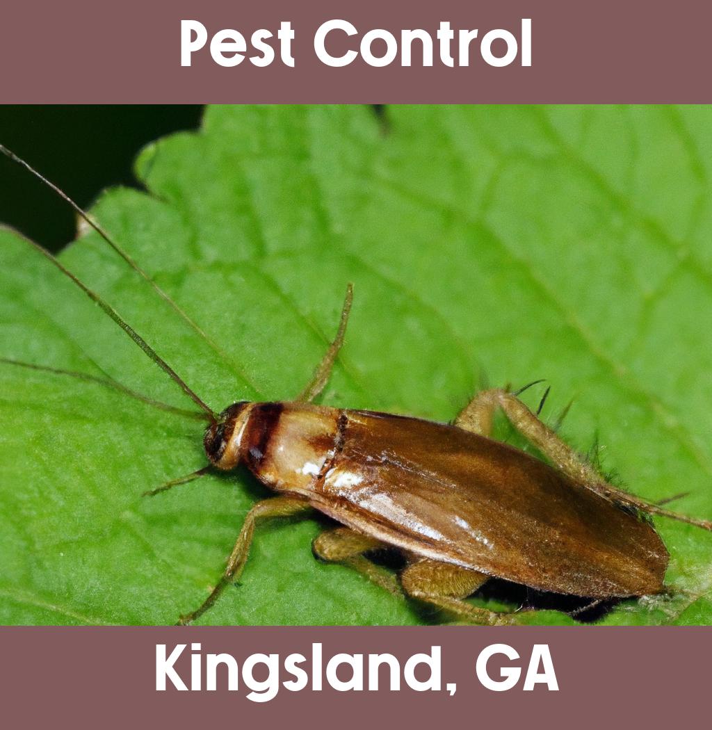 pest control in Kingsland Georgia