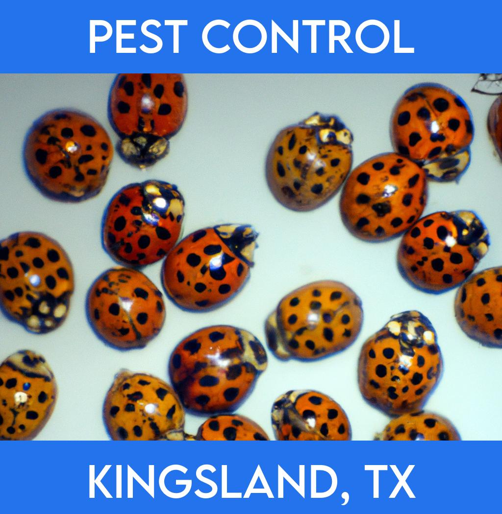 pest control in Kingsland Texas