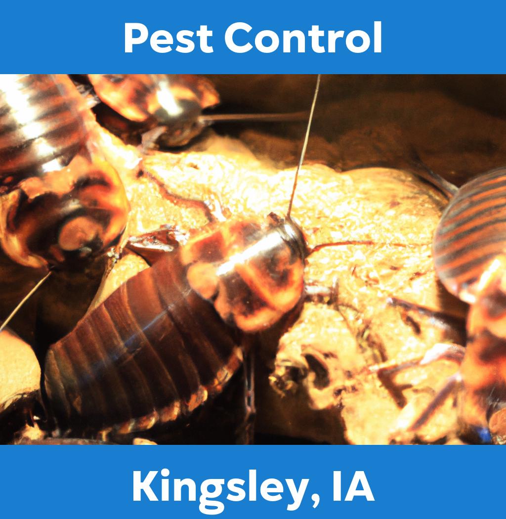 pest control in Kingsley Iowa