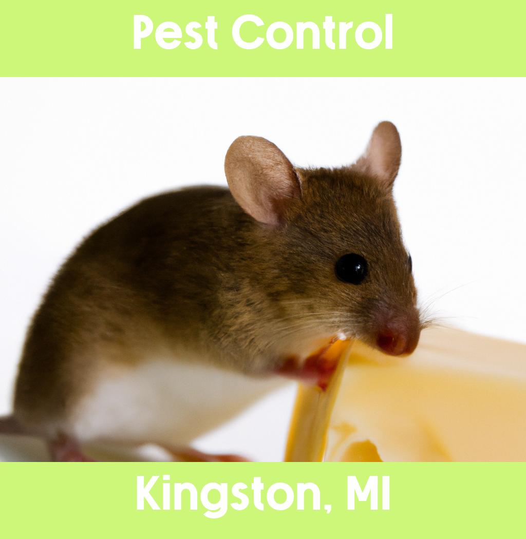 pest control in Kingston Michigan