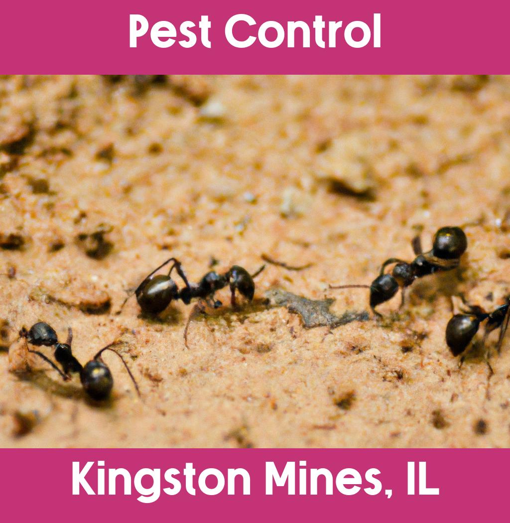 pest control in Kingston Mines Illinois