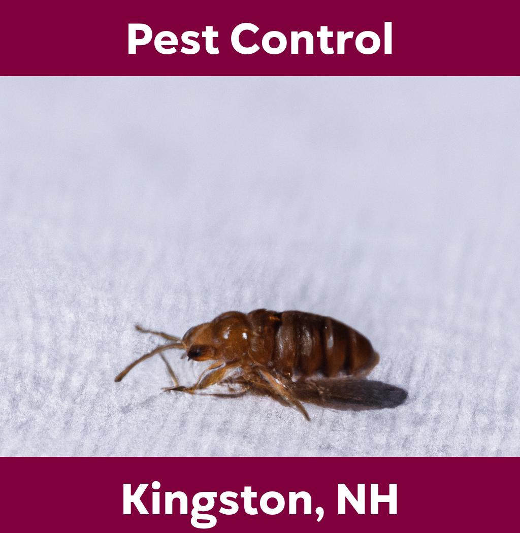 pest control in Kingston New Hampshire