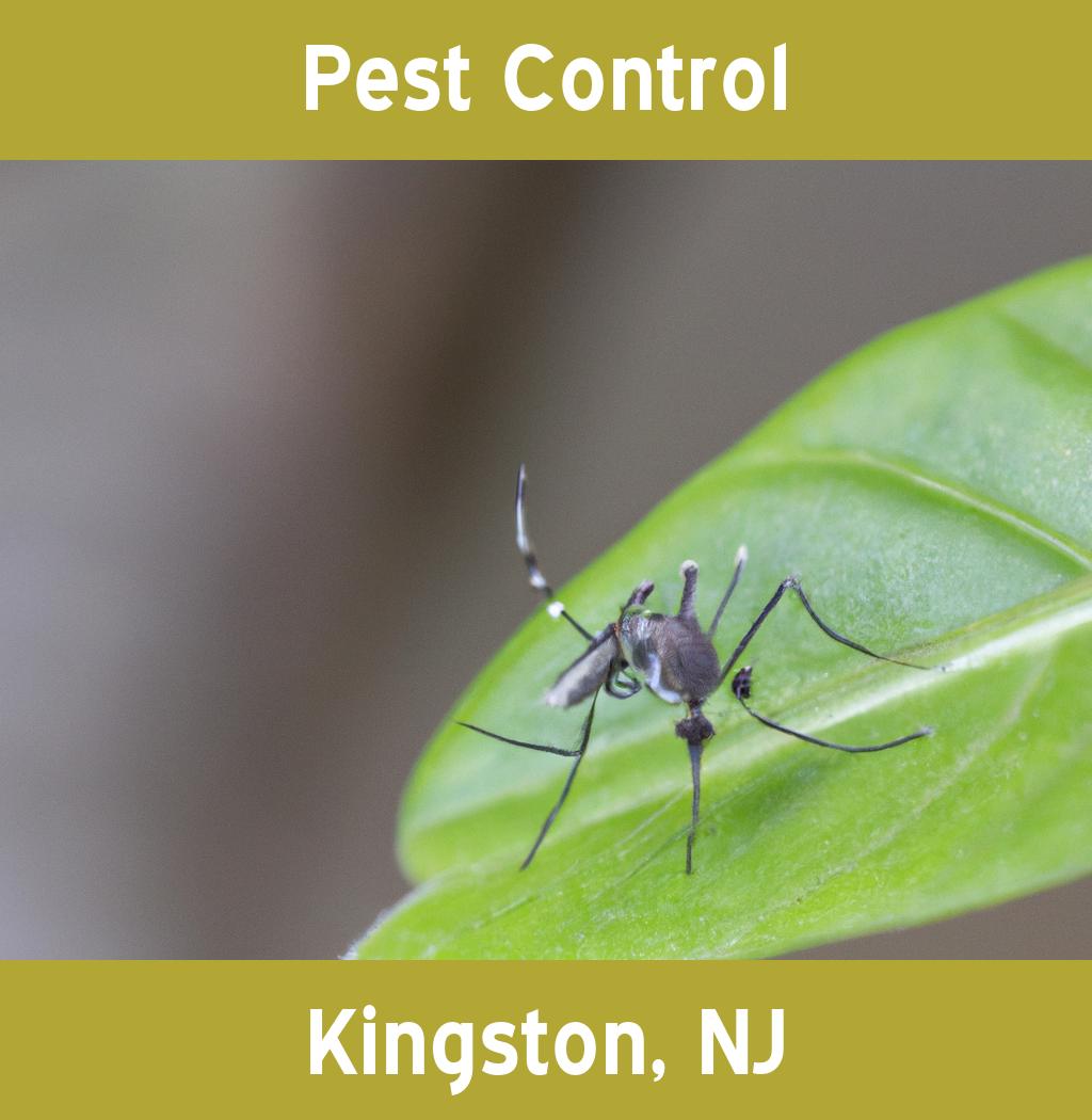 pest control in Kingston New Jersey