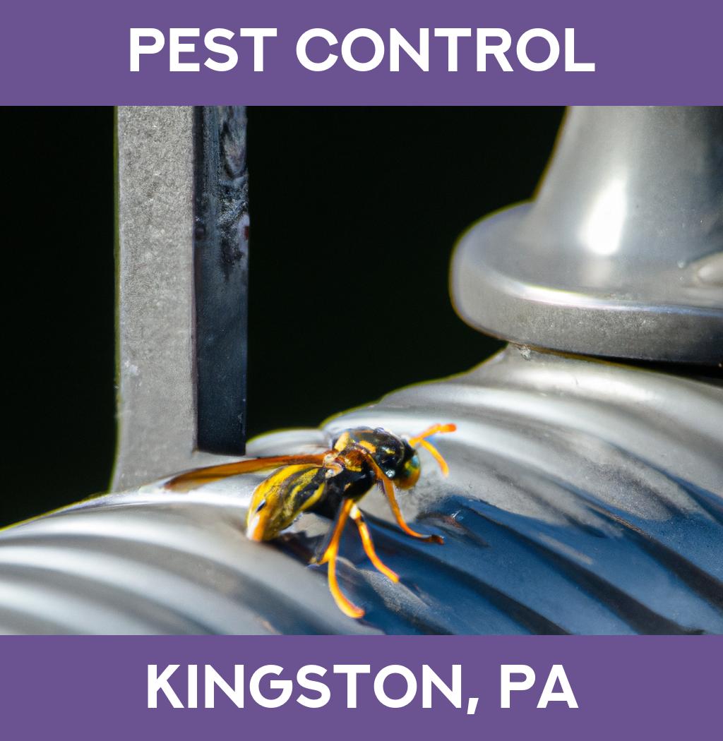 pest control in Kingston Pennsylvania