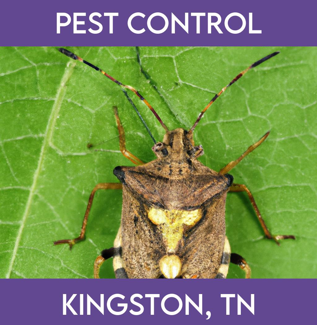 pest control in Kingston Tennessee