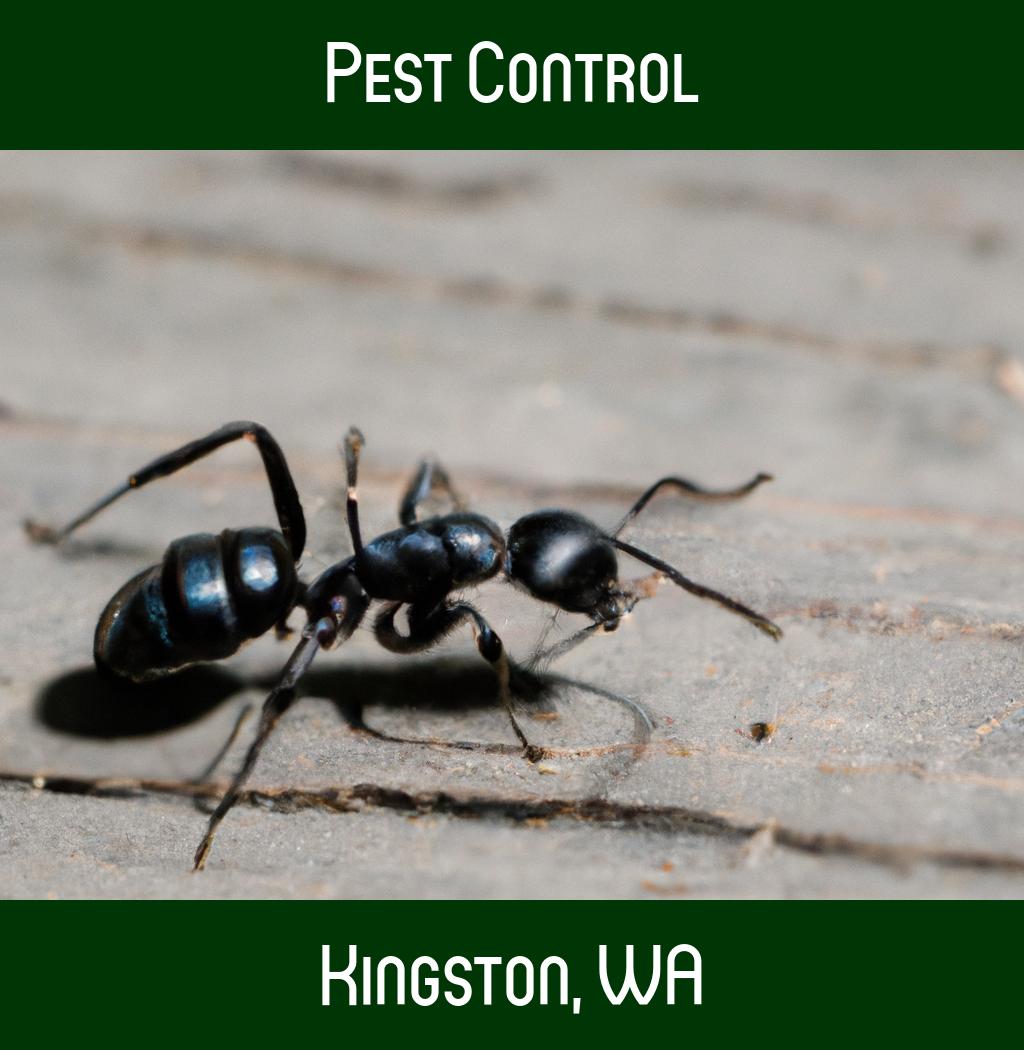 pest control in Kingston Washington