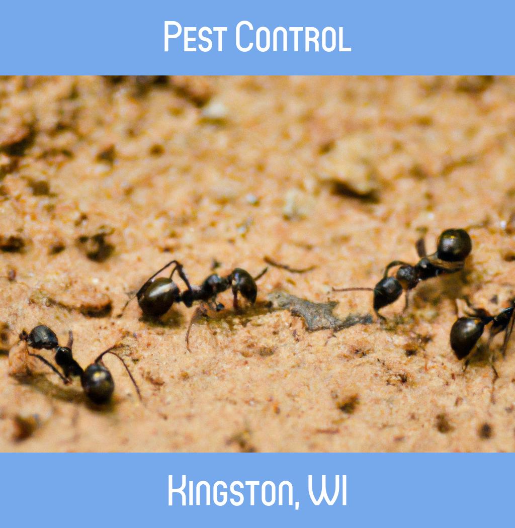 pest control in Kingston Wisconsin