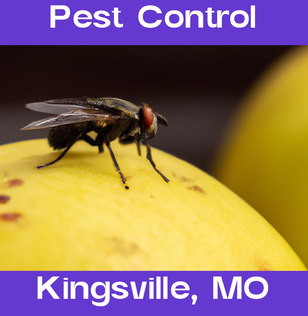 pest control in Kingsville Missouri