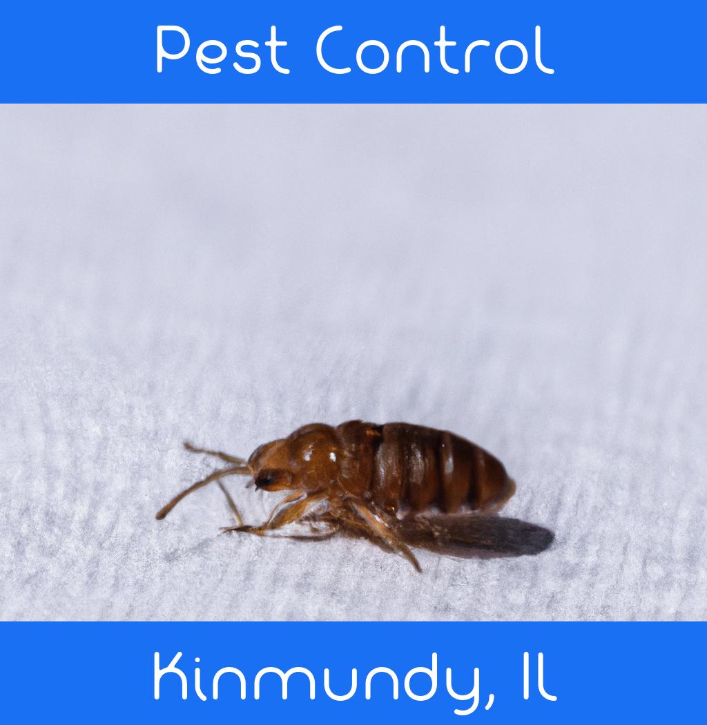 pest control in Kinmundy Illinois