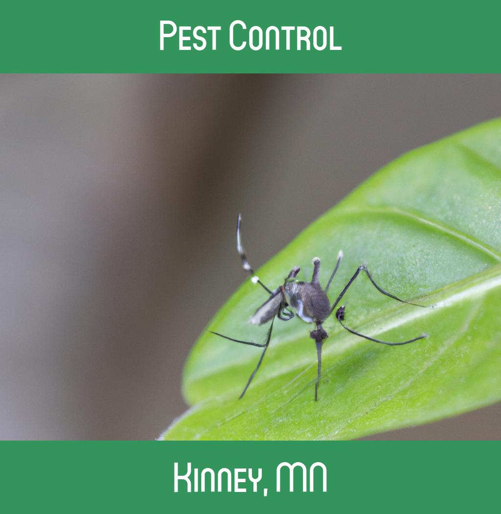 pest control in Kinney Minnesota