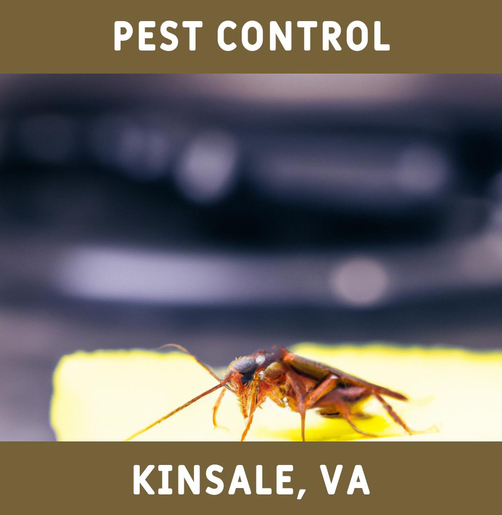 pest control in Kinsale Virginia