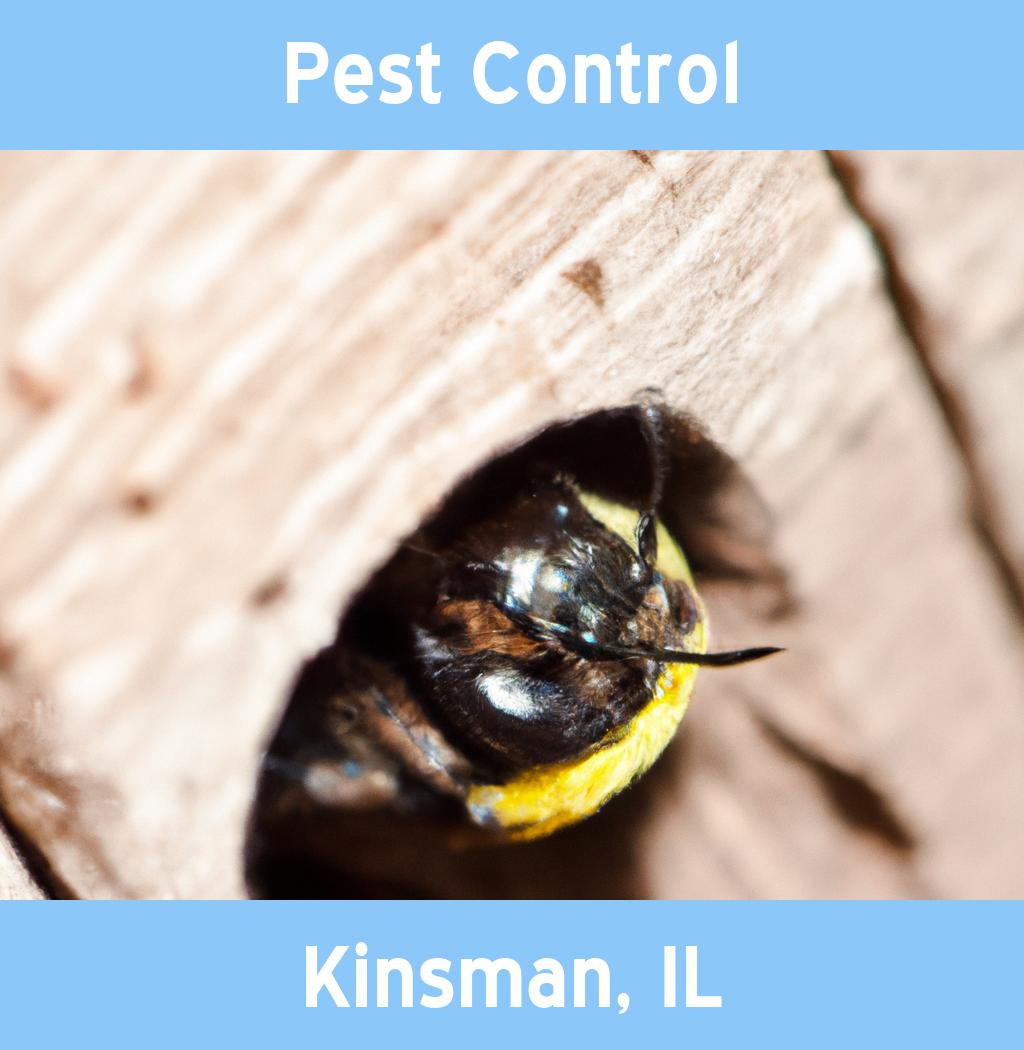 pest control in Kinsman Illinois