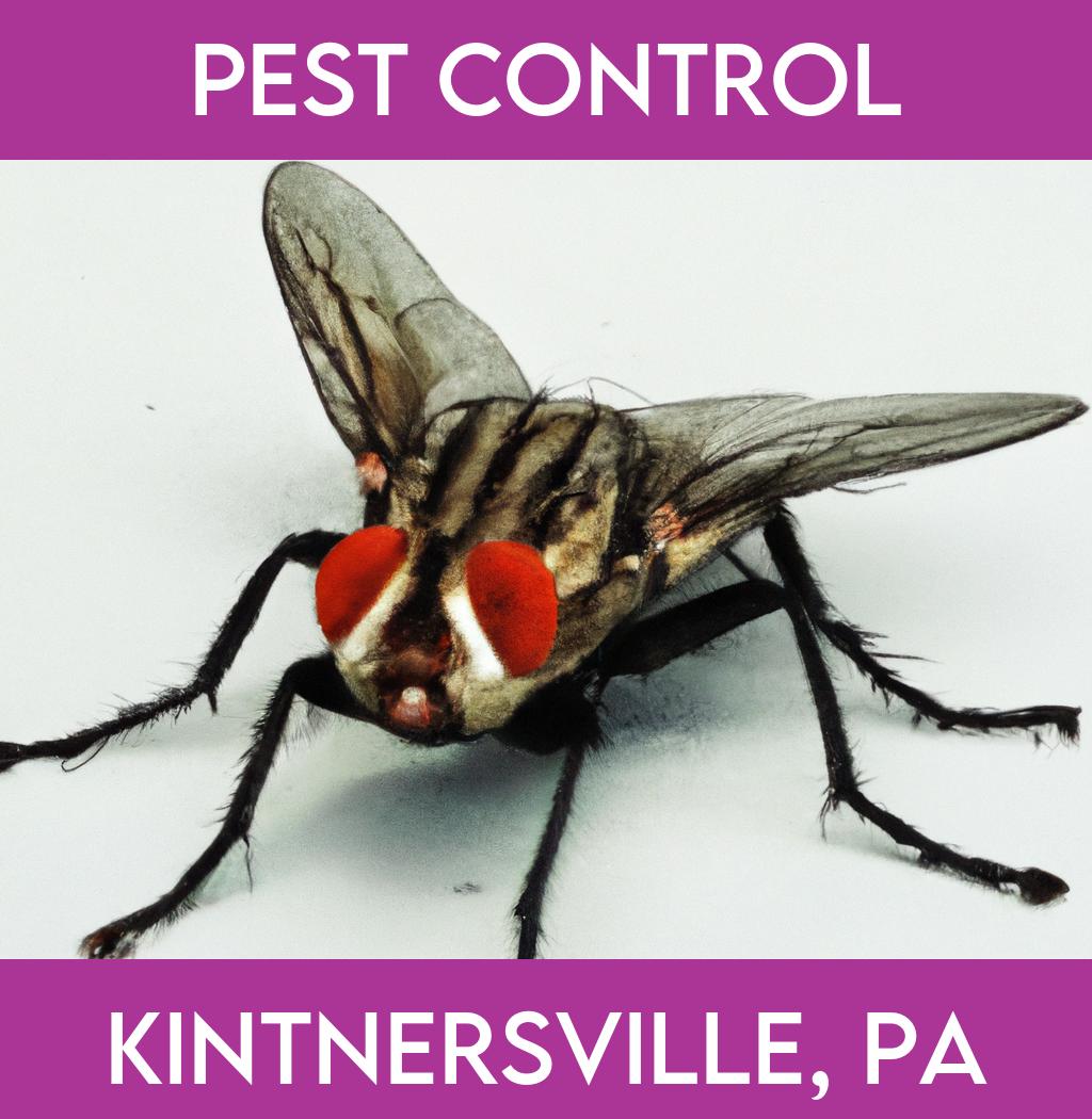 pest control in Kintnersville Pennsylvania