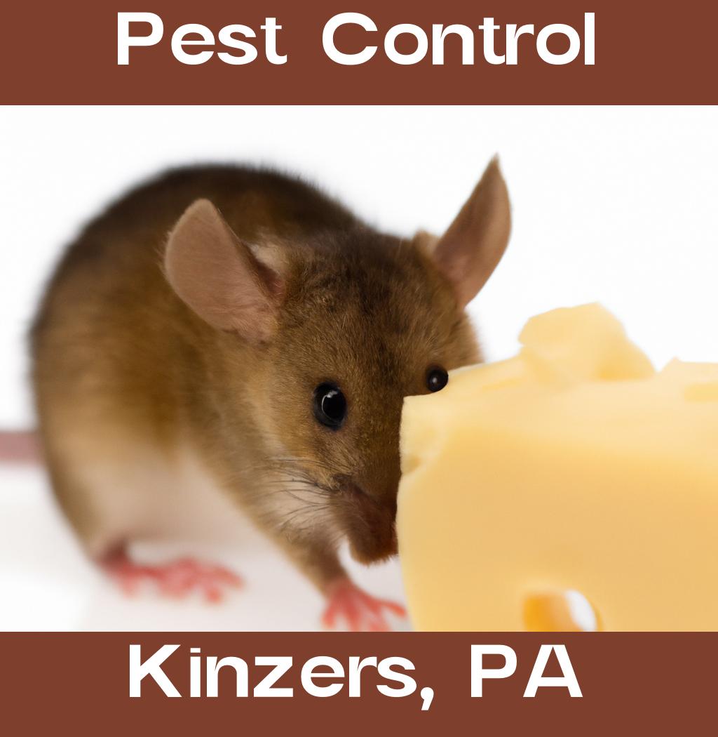 pest control in Kinzers Pennsylvania