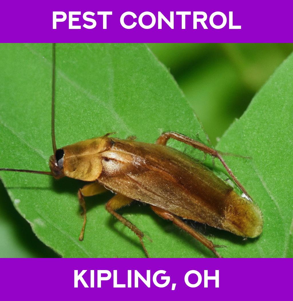 pest control in Kipling Ohio