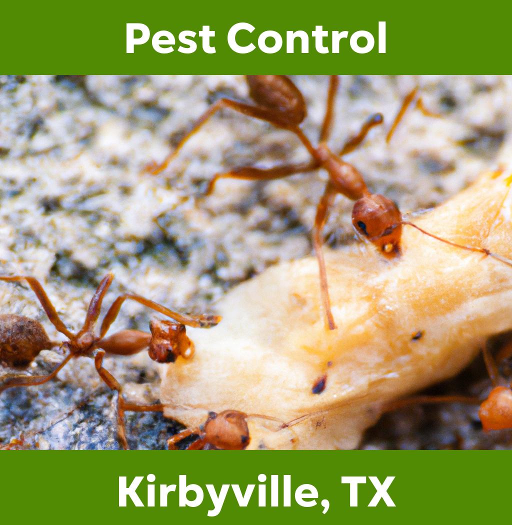 pest control in Kirbyville Texas