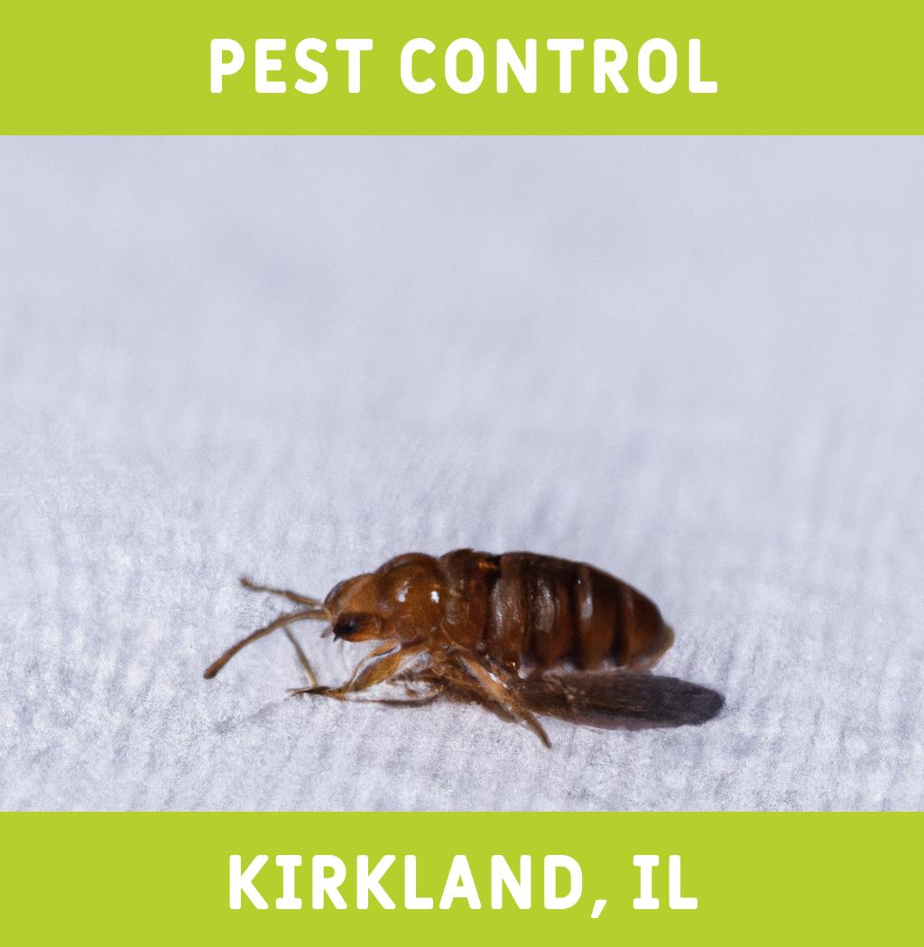 pest control in Kirkland Illinois